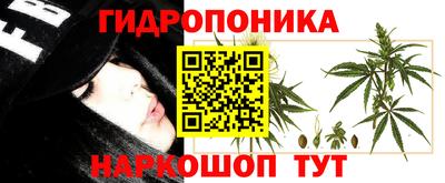 хмурый Жуковский