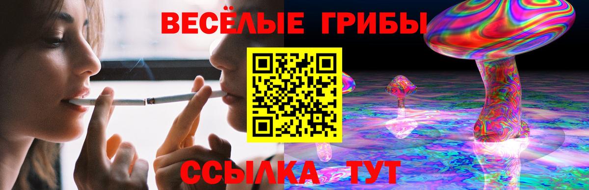 Галлюциногенные грибы мицелий  закладка  Вход с VPN  Кузнецк  Псилоцибиновые грибы мицелий 